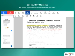 PDF2GO-highlight