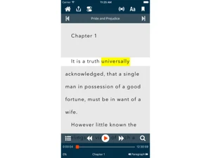 voice-dream-reader-projection