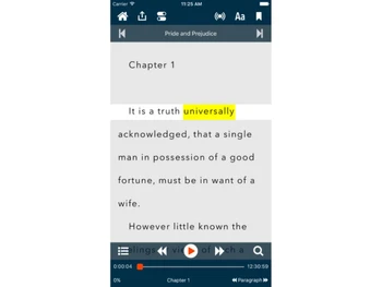 voice-dream-reader-projection