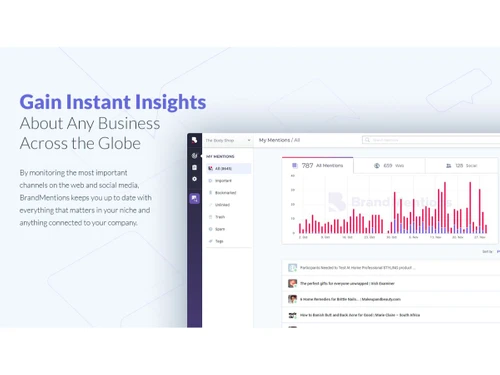 BrandMentions-insights