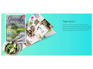 coreldraw page layout