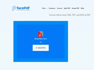 FacePdf convert word
