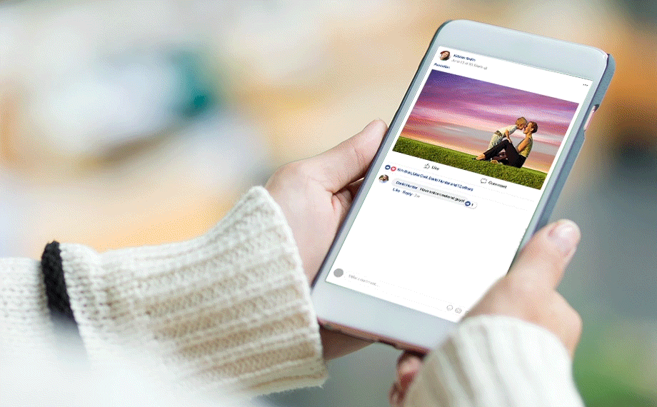 Premiere Elements Pricing & Reviews 2024