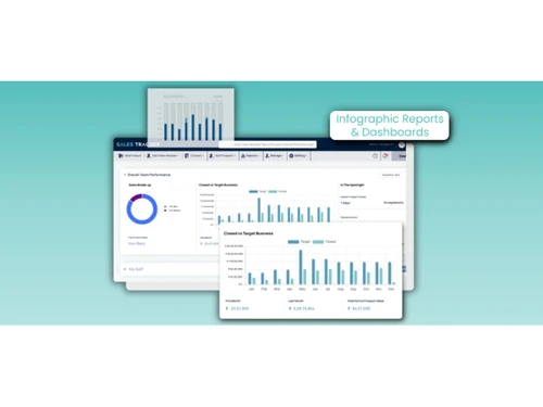 Infographic Reports & Dashboards