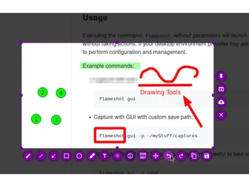 flameshot-usage