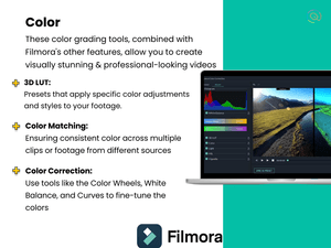 filmora color