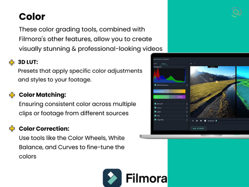 filmora color