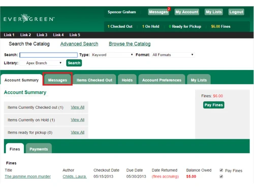 Evergreen ILS-account summary
