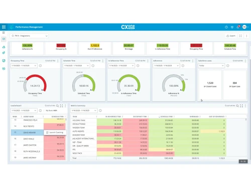 NiCE CXone-performance