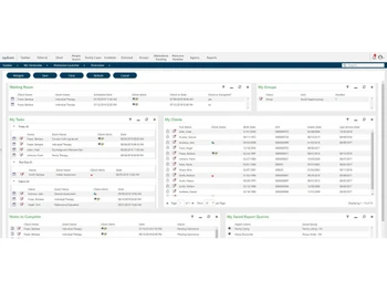 netsmart ehr-interface