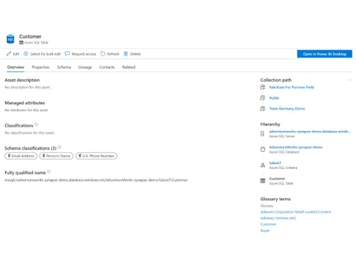 microsoft-purview-customer