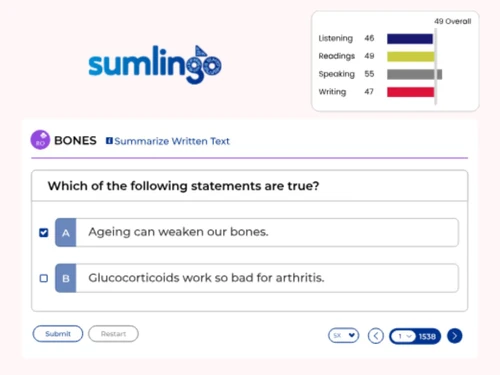 Sumlingo-questions