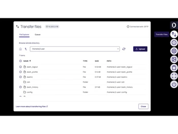 Delinea-tranfer files