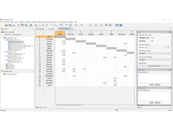 NetMiner-data structure