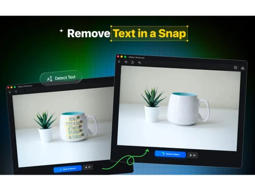 ObjectRemover-remove text