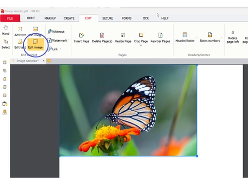 pdf pro-image