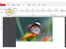 pdf pro-image