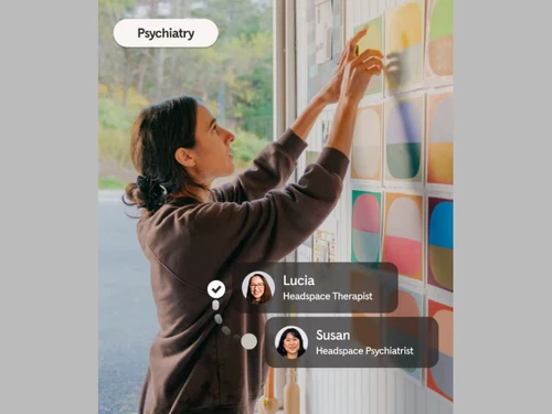 Headspace Focus Support
