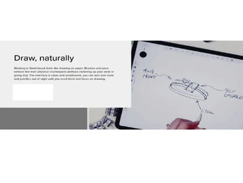 sketchbook natuarally