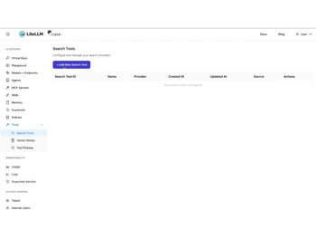 LiteLLM-search tool
