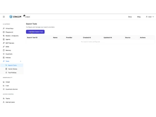 LiteLLM-search tool