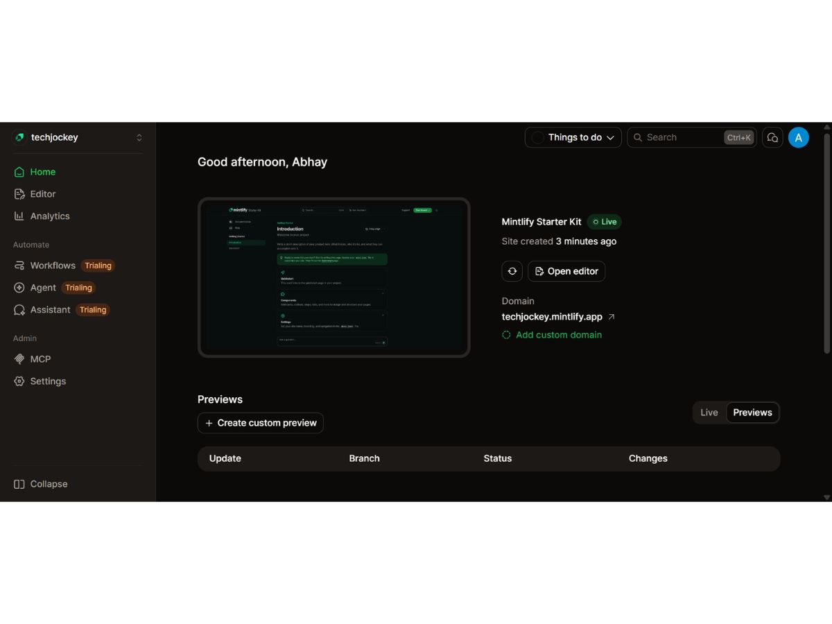 Mintlify-dashboard