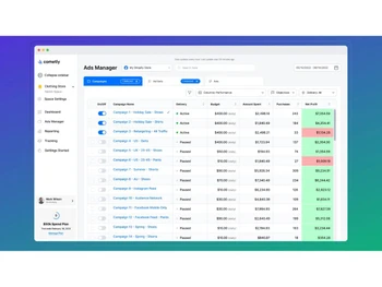Cometly ads manager
