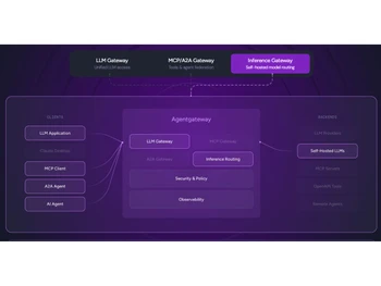 Solo Agentgateway-inference
