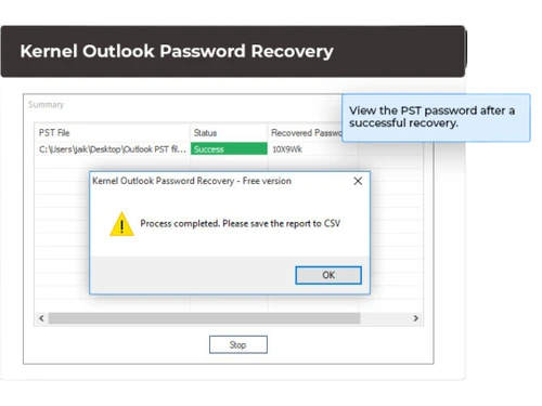 Kernel Password Recovery Tool process