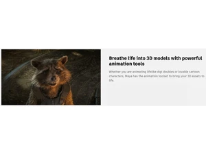 Autodesk Maya-Animation tools