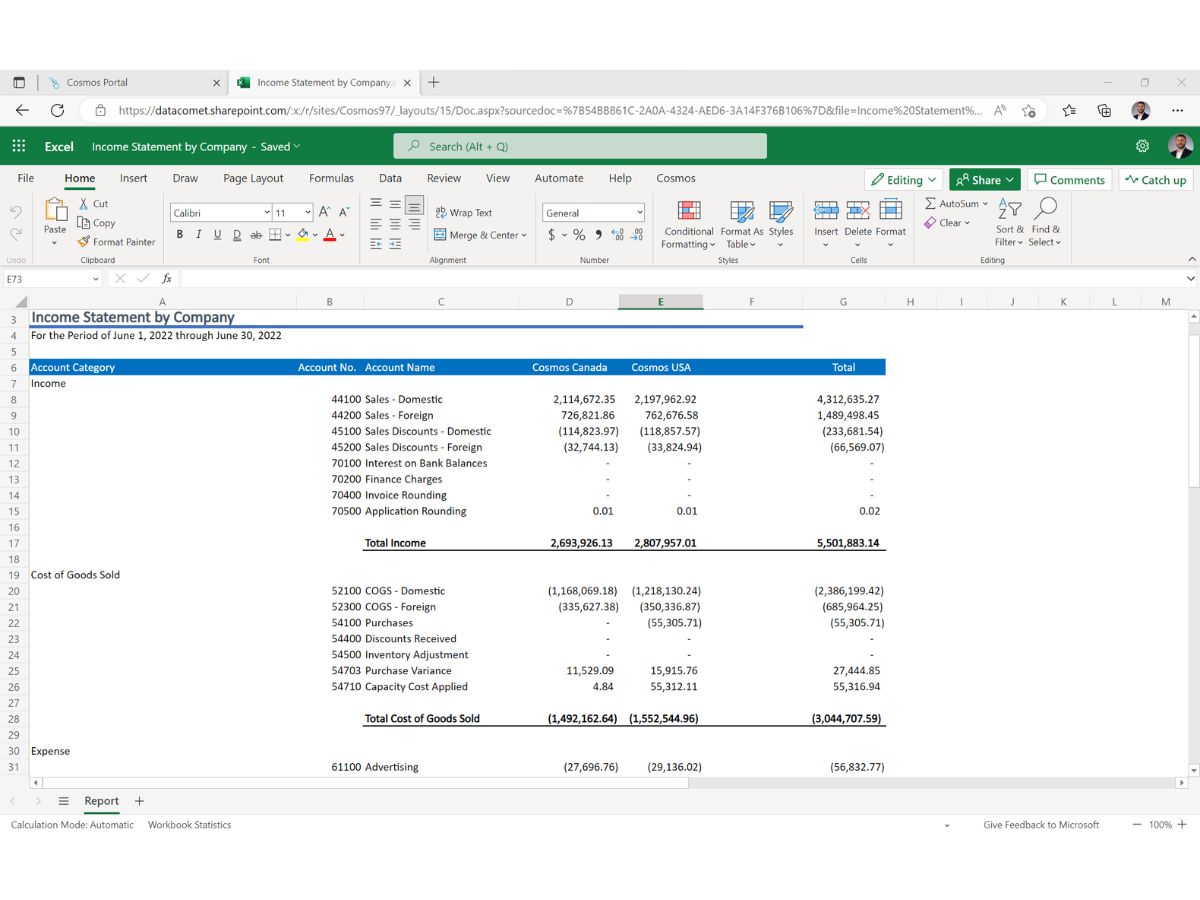 Cosmos-financial report