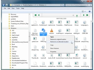 genie timeline professional file