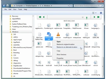 genie timeline professional file