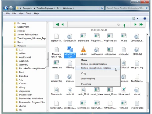 genie timeline professional file