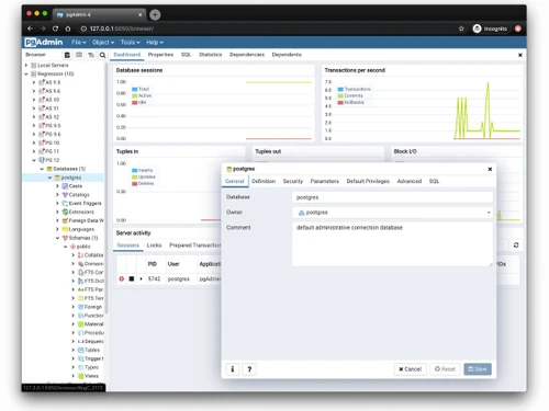pgAdmin-database sessions