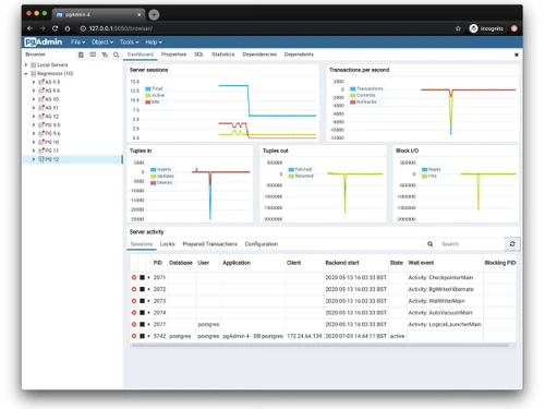pgAdmin-server dashboard