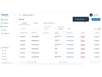 Flywire-overview