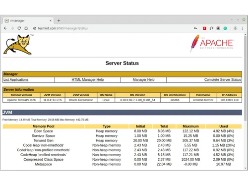Apache Tomcat-status