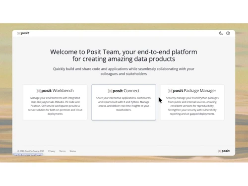 Posit-workflow