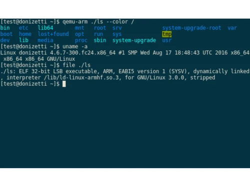 QEMU-user mode