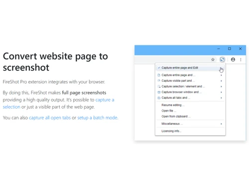 FireShot-screenshot