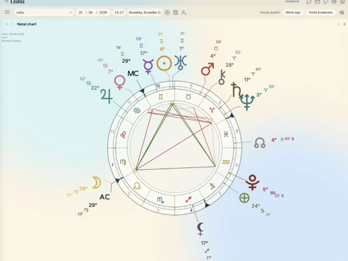 Lishu Natal chart