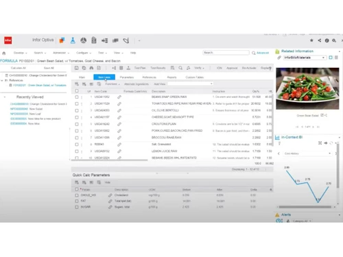 Infor Optiva-Formula