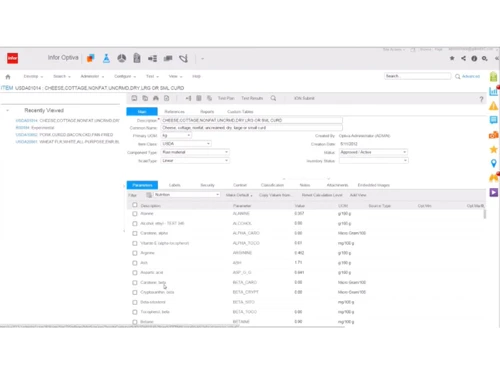 Infor Optiva-Item