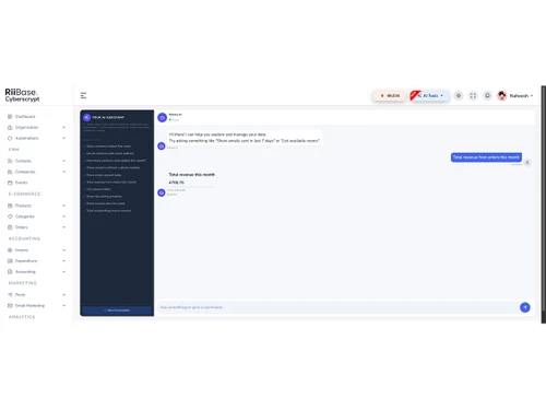Riibase CRM leads