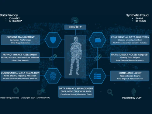 Data Safeguard identity