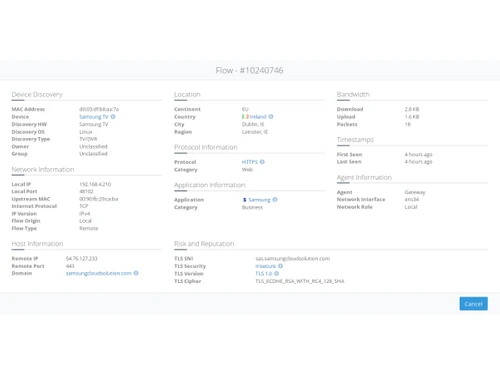 Netify-flow details