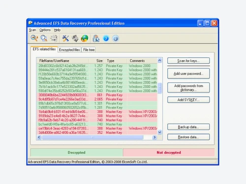 elcomsoft efs data recovery-type