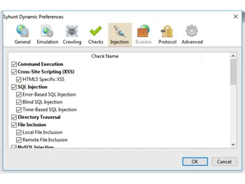 Syhunt Hybrid injection