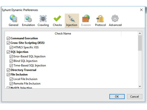 Syhunt Dynamic injection